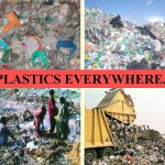 plasticwastes
