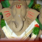 EcoGanesh2010
